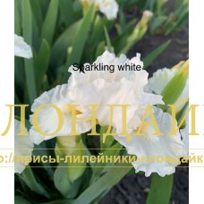 SPARKLING WHITE ( SDB )