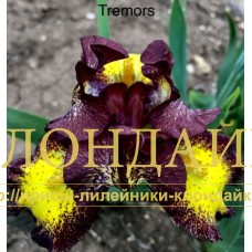 TREMORS ( SDB )