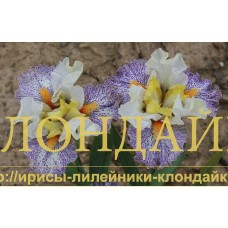 TULA ( SDB )