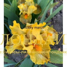 VICTORY MARCH ( SDB )