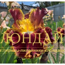 AFFAIR TO REMEMBER