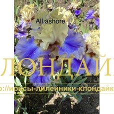 ALL ASHORE