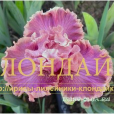 AMETISTOVAYA PODVESKA ( АМЕТИСТОВАЯ ПОДВЕСКА )