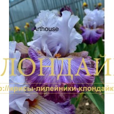 ARTHOUSE