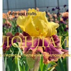 ARTS AND CRAFTS