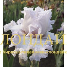 AZHURNAYA SNEZHINKA ( АЖУРНАЯ СНЕЖИНКА )