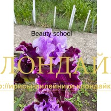 BEAUTY SCHOOL