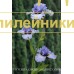 BLUEBIRD OF HAPPINESS ( BLACK 2012 )