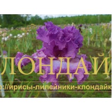 BOLSHOI