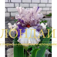 BOTSMAN ( БОЦМАН )