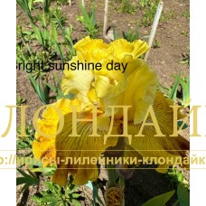 BRIGHT SUNSHINY DAY