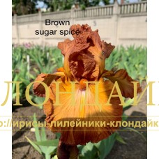 BROWN SUGAR SPICE