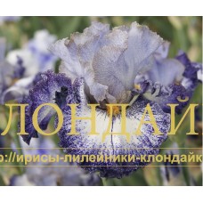 CENTRAL INTELLIGENCE