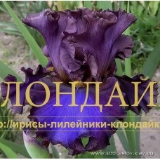 CHARIVNA NICH