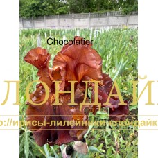 CHOCOLATIER