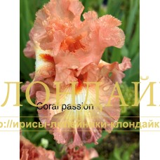 CORAL PASSION