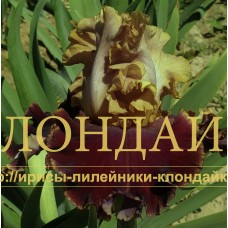 CORDOBAN LEATHER