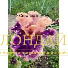 CROWNED IN GLORY