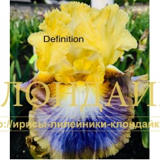DEFINITION