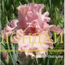 DEVOCHKA LETO ( ДЕВОЧКА -ЛЕТО )