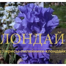 DOCH' LUIZY ( ДОЧЬ ЛУИЗЫ )