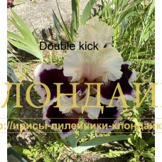 DOUBLE KICK