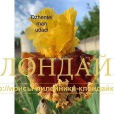DZHENTELMEN UDACHI