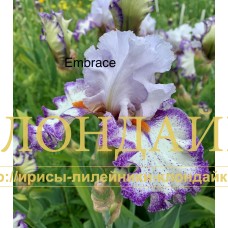 EMBRACE