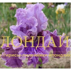 ENCHANTER