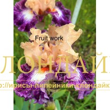 FRUIT WORKS