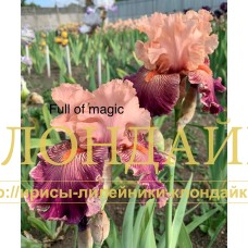 FULL OF MAGIC