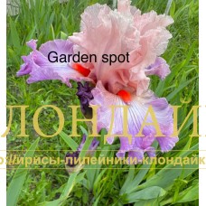 GARDEN SPOT