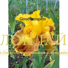 GOOD PROSPECTS