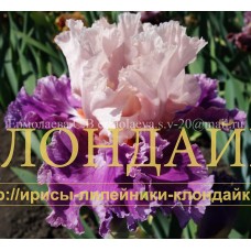 GOROD FONTANOV ( ГОРОД ФОНТАНОВ )