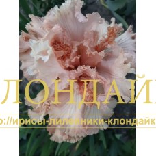 GOSTIYA IS BUDUSHEGO ( ГОСТЬЯ ИЗ БУДУЩЕГО )