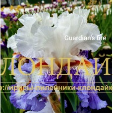GUARDIAN'S FIRE