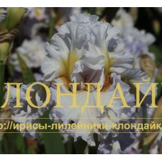 HAVE A LOOK