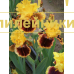HEY LOOK ME OVER