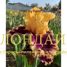 HOLD MY HAND