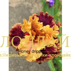 HONEY DRIPPER
