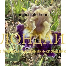 IMMACULATE HEART