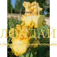 JUST A KISS AWAY