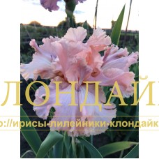 KLUCHI OT SCHASTIA ( КЛЮЧИ ОТ СЧАСТЬЯ )