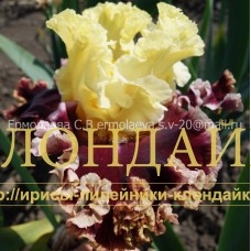 KLUKVA V SAHARE ( КЛЮКВА В САХАРЕ )