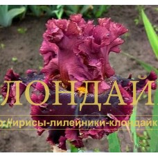 KNYAZ VLADIMIR ( КНЯЗЬ ВЛАДИМИР )