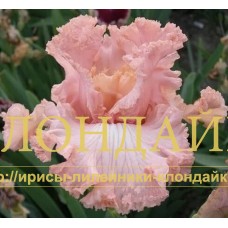 KRASOTKA ( КРАСОТКА )