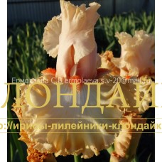 KREPDESHINOVY VALS ( КРЕПДЕШИНОВЫЙ ВАЛЬС )