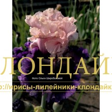 KRYMSKIY VECHER ( КРЫМСКИЙ ВЕЧЕР )