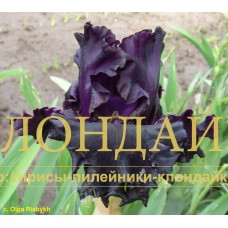 KUZNETS VAKULA ( КУЗНЕЦ ВАКУЛА )