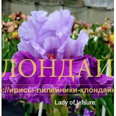 LADY OF LEISURE